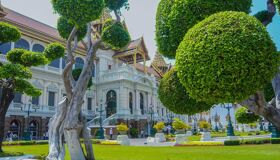 Bonsai in the garden of Royal in Bangkok, Thailand